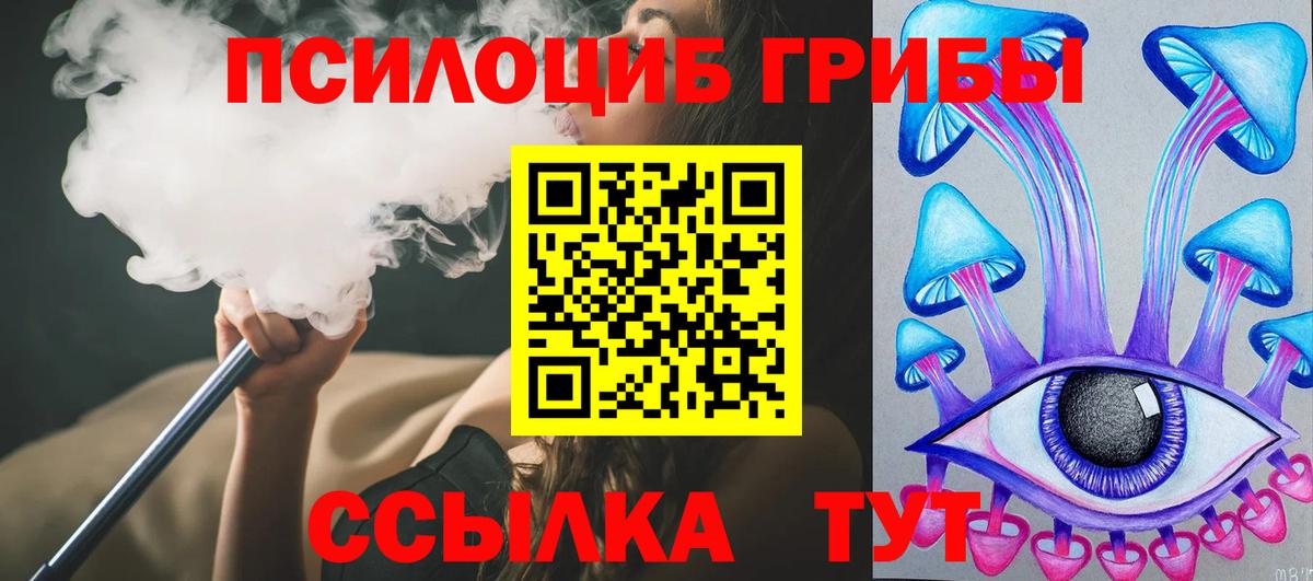 Галлюциногенные грибы Psilocybe Бузулук